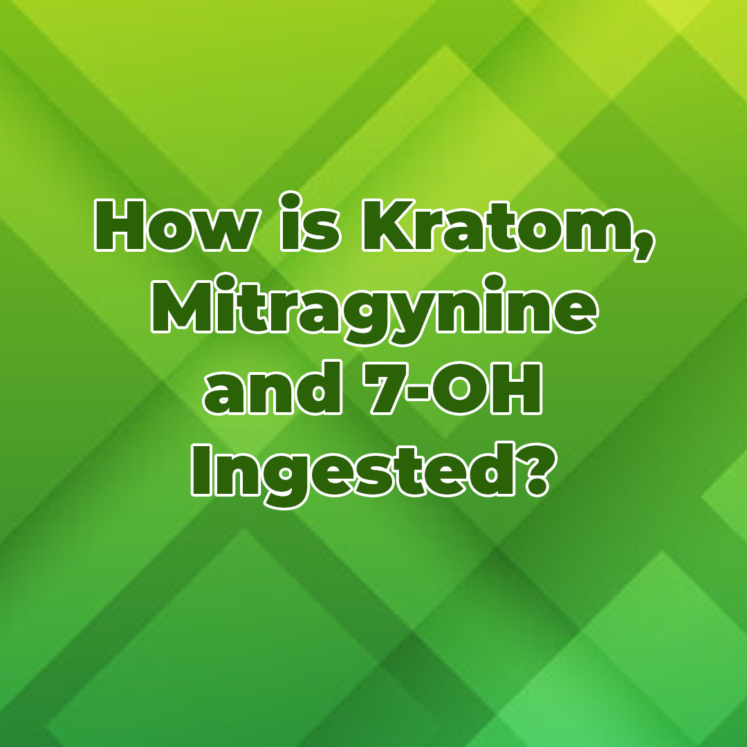 How is Kratom, Mitragynine and 7-OH Ingested?