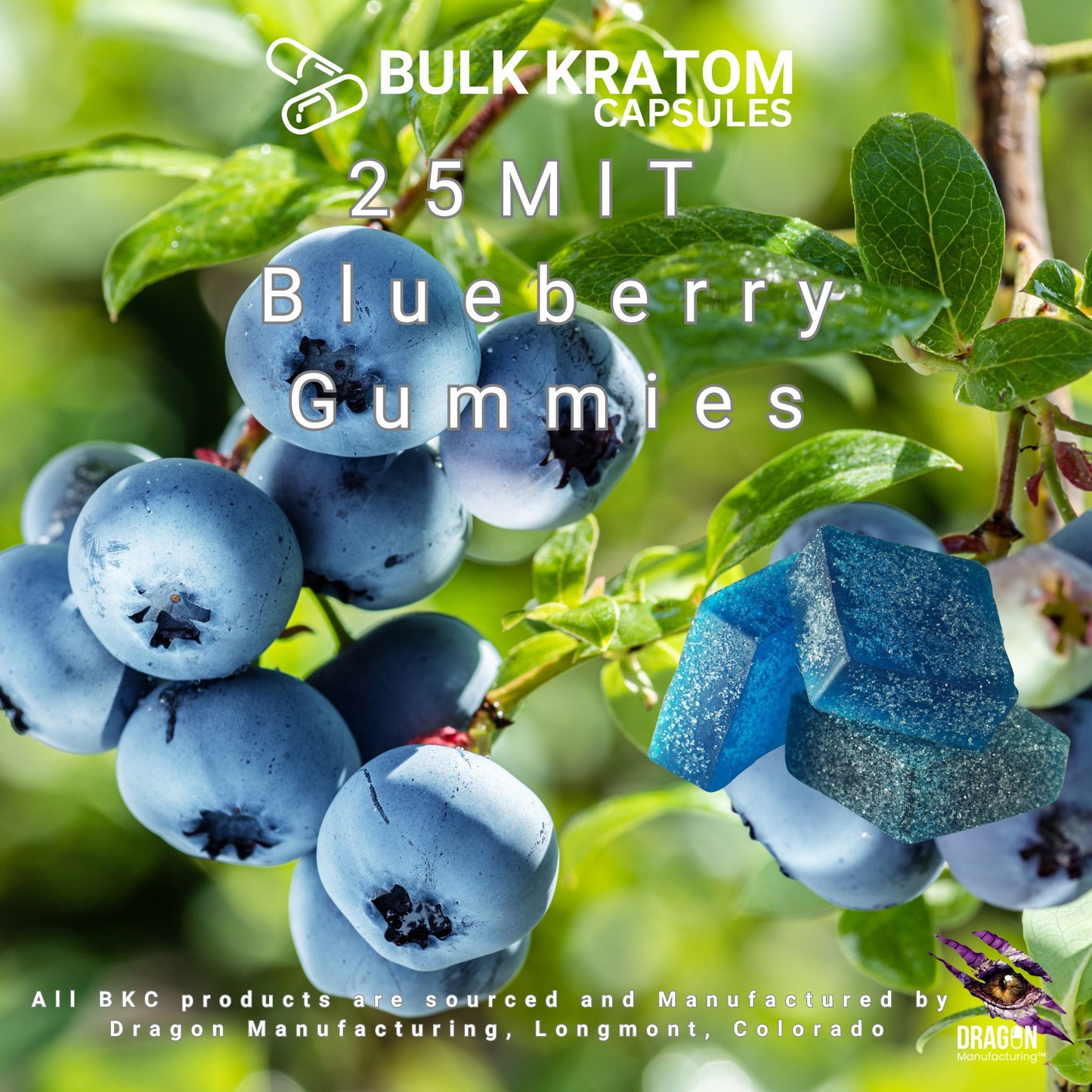 Blueberry Kratom Gummies – 25 mg Mitragynine per Gummy